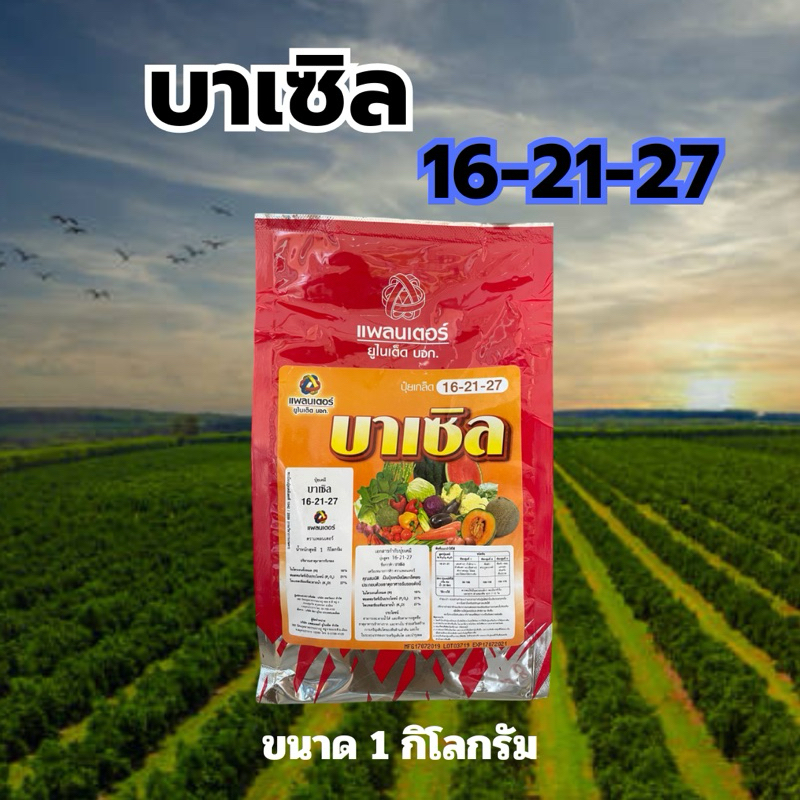 บาเซิล 16-21-27 (ขนาด 1 กิโลกรัม)