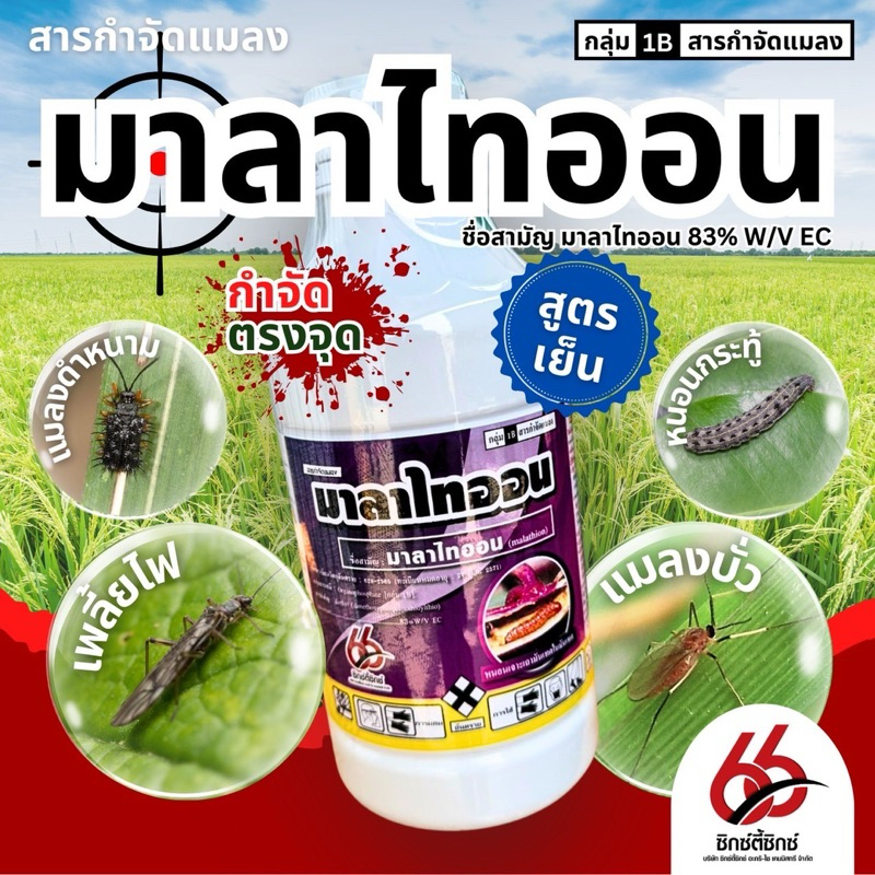มาลาไทออน  1 ลิตร (สูตรเย็น) สารมาลาไทออน เพลี้ยไฟ เพลี้ยจั๊กจั่น เพลี้ยกระโดด  แมลงหวี่ขาว มวน หนอน