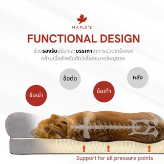MAPLE'S โซฟากันน้ำสัตว์เลี้ยง Waterproof Sofa Pet Bed ที่นอนหมา สัตว์เลี้ยง เตียงหมา เบาะ​ แมว maple