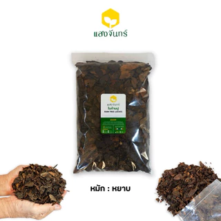 ใบก้ามปูหมัก 300g-500g-1kg ปุ๋ยใบก้ามปูล้วน 100% ไม่ผสมดิน (หมักหยาบ-ร่อนหยาบ-ร่อนละเอียด-คัดกิ่ง) Rain Tree Leaves