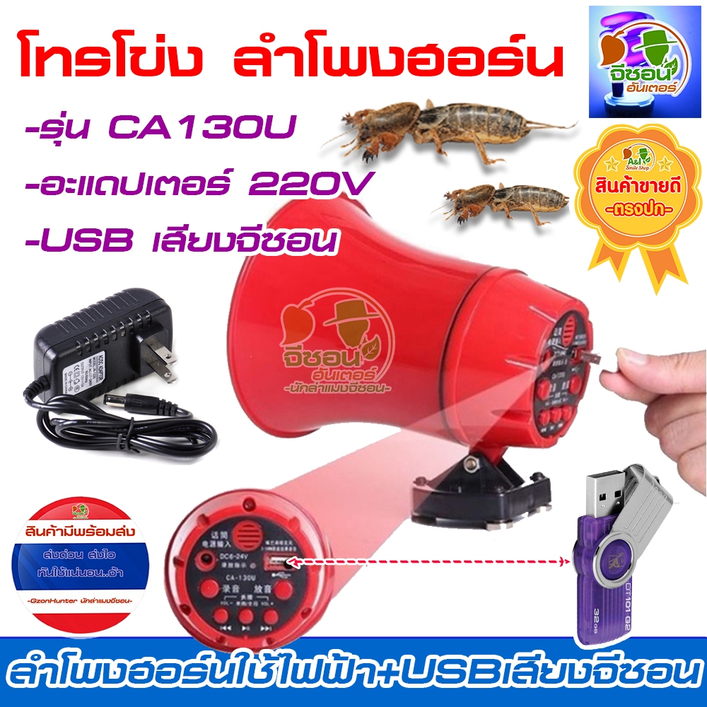 รูปภาพ 2