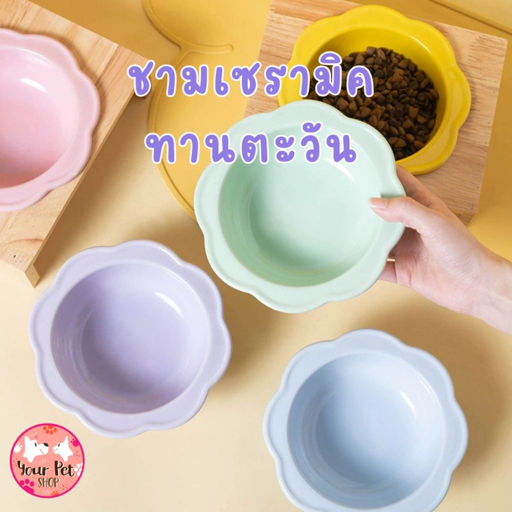 ชามเซรามิคทานตะวันพาสเทล ชามแมว จานหมาเล็ก 14.8x5cm เซรามิก อาหาร จานน้ำสัตว์เลี้ยง Bowl