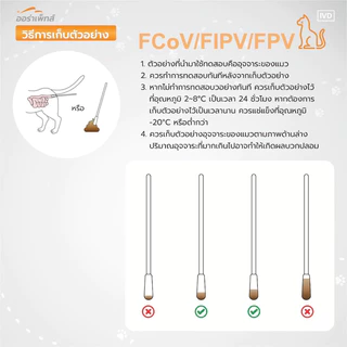 Aurapets (ออร่าเพ็ท) ชุดตรวจหาโรคทางเดินอาหาร Feline Corona Virus/Infectious Peritonitis/Parvo Virus (FCoV/FIPV/FPV)