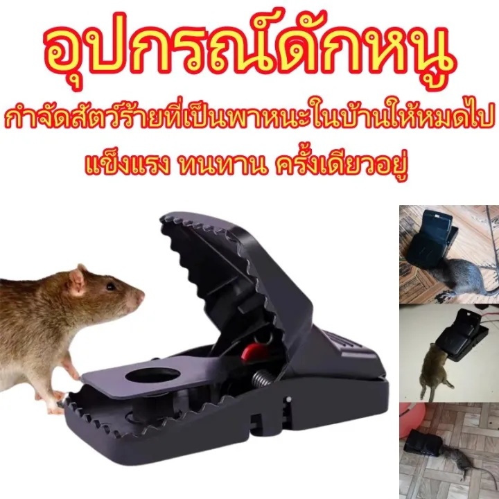 กับดักหนูแบบสปริงโหลด ไม่มีสารเคมี ไม่สัมผัสกับหนู กับดักหนูที่มีความไวสูง