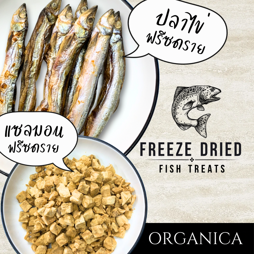 Organica Freeze Dried Salmon and Shishamo แซลมอน และปลาไข่ ฟรีซดราย สำหรับสุนัขและแมว