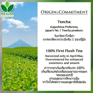 Matcha มัทฉะ [คิวามิอิจิบันฉะมัทฉะ 100%] Ceremonial Grade Horiguchien Satsumatcha Gold การผลิตในประเทศ ไร้สารเติมแต่ง ไร้สี ไร้น้ำหอม สำหรับใช้ในเชิงพาณิชย์ สำหรับทำขนม สำหรับบทเรียน ผงมัทฉะ ผงมัทฉะ【Direct frrom Japan】