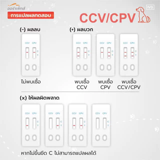 Aurapets (ออร่าเพ็ท) ชุดตรวจหาโรคทางเดินอาหาร Canine Corona Virus/Parvo Virus (CCV/CPV)