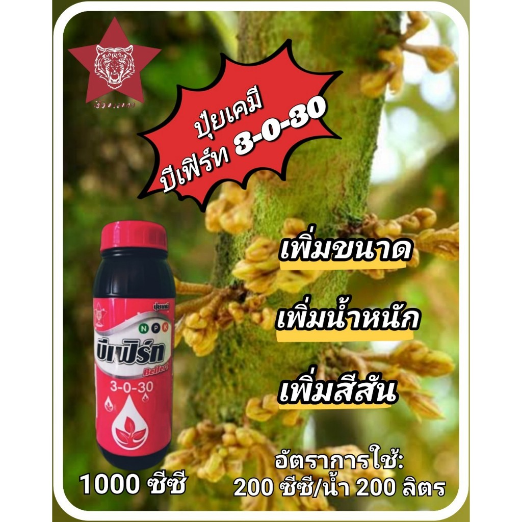 (บริษัท เบสท์ เคมี) ปุ๋ยเคมี บีเฟิร์ท 3-0-30 ขนาด 1000 ซีซี ช่วยเพิ่มขนาด เพิ่มน้ำหนัก สีสันสวยงาม