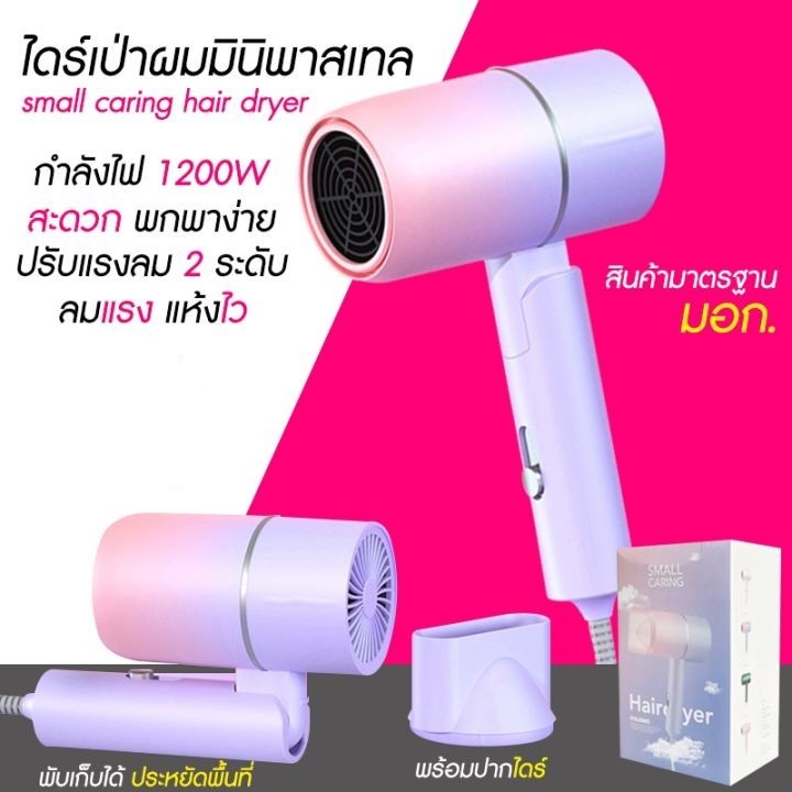 ไดร์เป่าผมมินิ พับเก็บได้ DELIYA 2600 Hair Dryer ไอออนแสงสีฟ้า ปรับได้ 3 ระดับ ลมร้อน-ลมเย็นไดร์พกพา
