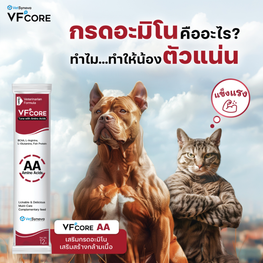 (10 ซอง) VF+CORE อาหารเสริมแมวเลีย สุนัขเลีย ตั้งแต่ 2 เดือนขึ้นไป - รูปที่ 2