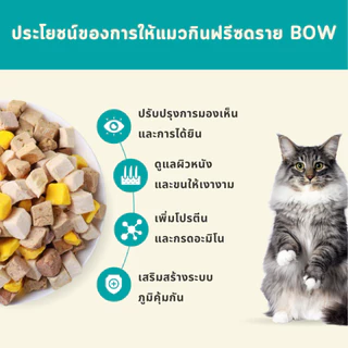 CatHoliday ไบต์ออฟไวด์ ฟรีซดราย Bite of wild Freeze Dried ไม่ปรุงรส โปรตีนสูง ขนาด 40g.