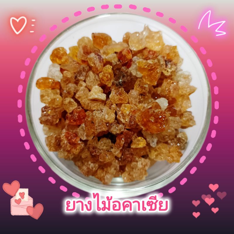ยางไม้อคาเซียธรรมชาติ สำหรับชูการ์ไกลเดอร์ (ซองแบ่งขาย)