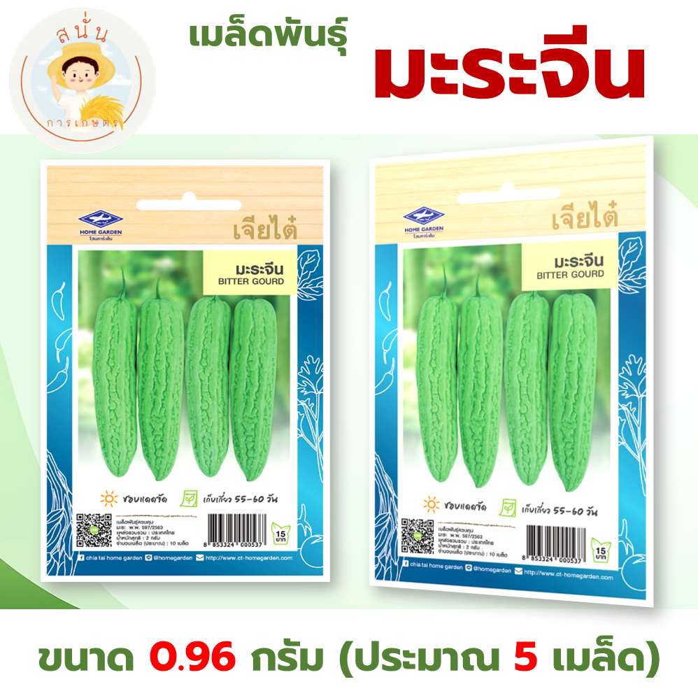 เมล็ดพันธุ์ มะระจีน (Bitter Gourd) ผักซอง มะระ เจียไต๋ OP ขนาด 0.96 กรัม (ประมาณ 5 เมล็ด)