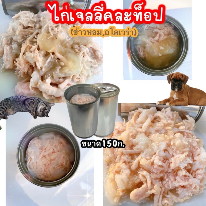 X12กระป๋อง รสไก่เจลลี่คละท็อปปิ้ง ขนาด150ก. ทานได้ทั้งแมวและสุนัข อาหารเปียกกระป๋องเปลือย อาหารกระป๋องเปลือย