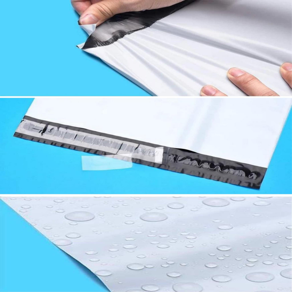 รูปภาพ 3