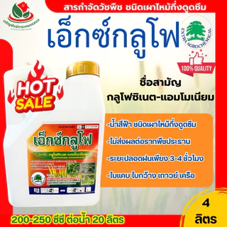 เอ็กซ์กลูโฟ*4ลิตร กลูโฟซิเนตแอมโมเนียม ออกฤทธิ์แบบเผาไหม้กึ่งดูดซึม กำจัดได้ทั้งใบแคบใบกว้าง