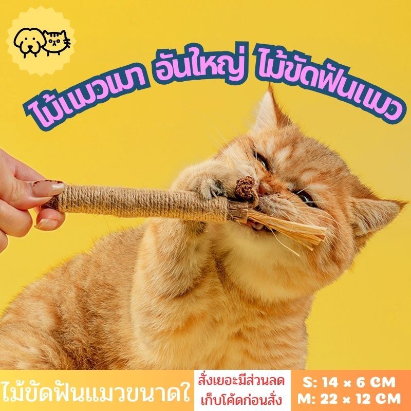 พร้อมส่ง✅🐱ไม้แมวเมา ไม้ขัดฟันแมว ไม้มาทาทาบิ กัญชาแมว ของเล่นแมว