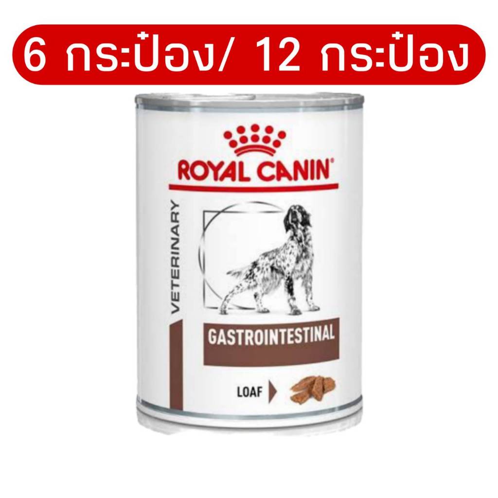 [6กระป๋อง/12กระป๋อง] Royal canin GASTROINTESTINAL can อาหารสุนัขแบบเปียก สุนัขท้องเสีย พร้อมส่ง