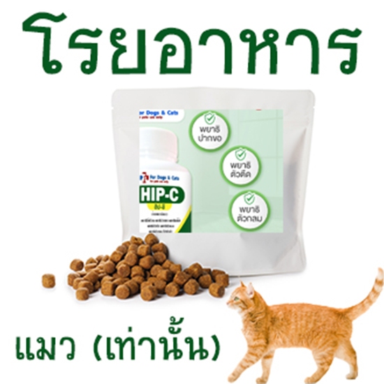 เสริมอาหาร สร้างภูมิคุ้มกัน ต่อต้านปอสิต ชนิดโรย สำหรับแมว (ปุกเขียว) บรรจุ 10 ชิ้น