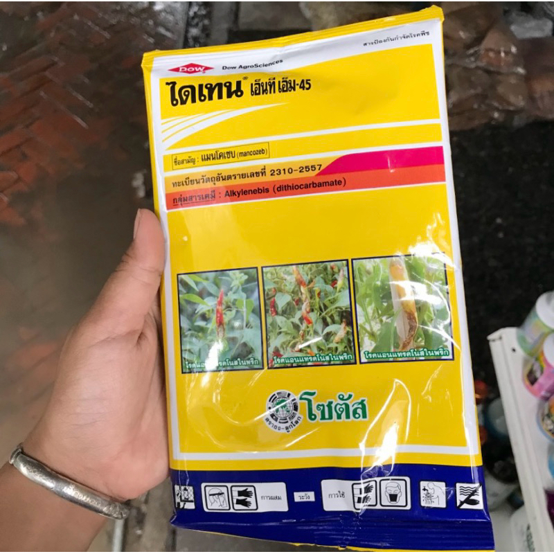 ไดเทน แมนโคเซป ยากำจัดเชื้อรา ราแห้ง เหนียว โรคกุ้งแห้ง - รูปที่ 2