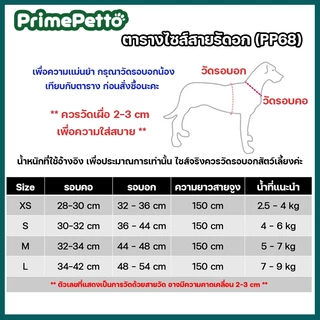 ได้ครบชุดพร้อมสายจูง ชุดรัดอกแมว ใส่สบาย ลดความอับชื้น ไม่อึดอัด สายรัดอกสุนัขพันธุ์เล็ก