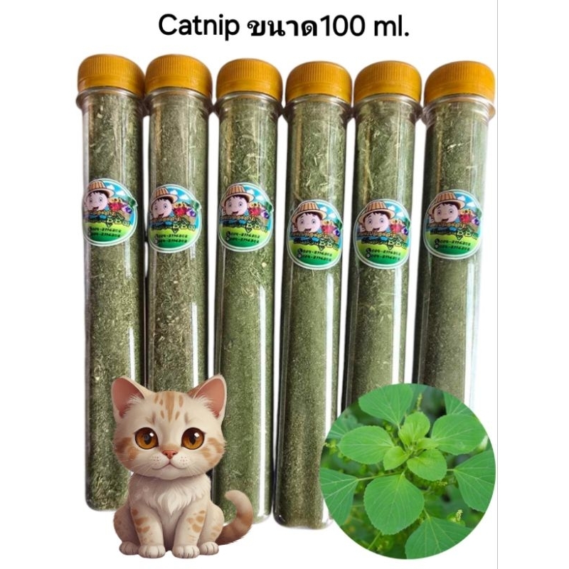 ตำแยแมว แคทนิป กัญชาแมว บดผง Organic บรรจุขวด 100 มล.