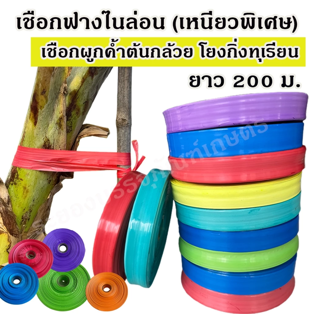 เชือกฟางไนล่อน ชนิดเหนียวพิเศษ ความยาว 200 ม. เชือกริบบิ้น เชือกมัดค้ำต้นกล้วย เชือกโยงกิ่งทุเรียน แบบแบน เหนียว ทน
