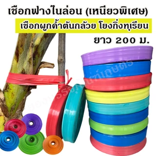 เชือกฟางไนล่อน ชนิดเหนียวพิเศษ ความยาว 200 ม. เชือกริบบิ้น เชือกมัดค้ำต้นกล้วย เชือกโยงกิ่งทุเรียน แบบแบน เหนียว ทน