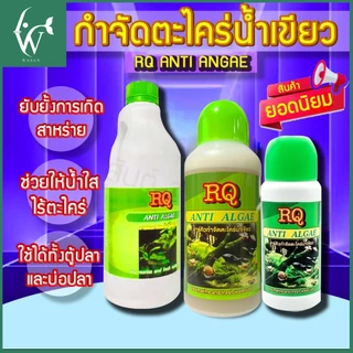 กำจัดตะไคร่น้ำเขียว RQ ANTI ALGAE BY วสันต์อุปกรณ์ปลาสวยงาม