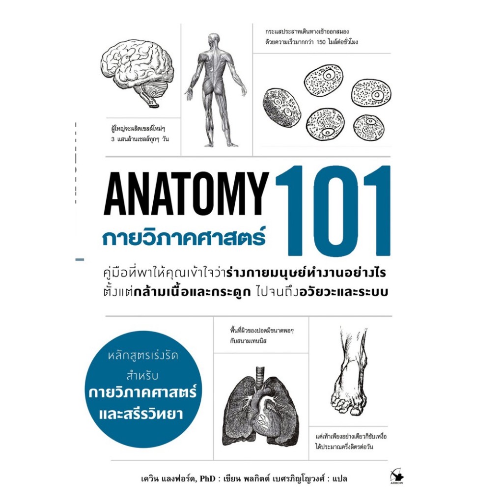กายวิภาคศาสตร์ 101 Anatomy 101