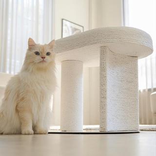 Duit Catthenon ที่ลับเล็บแมว ที่ฝนเล็บแมว ที่ข่วน