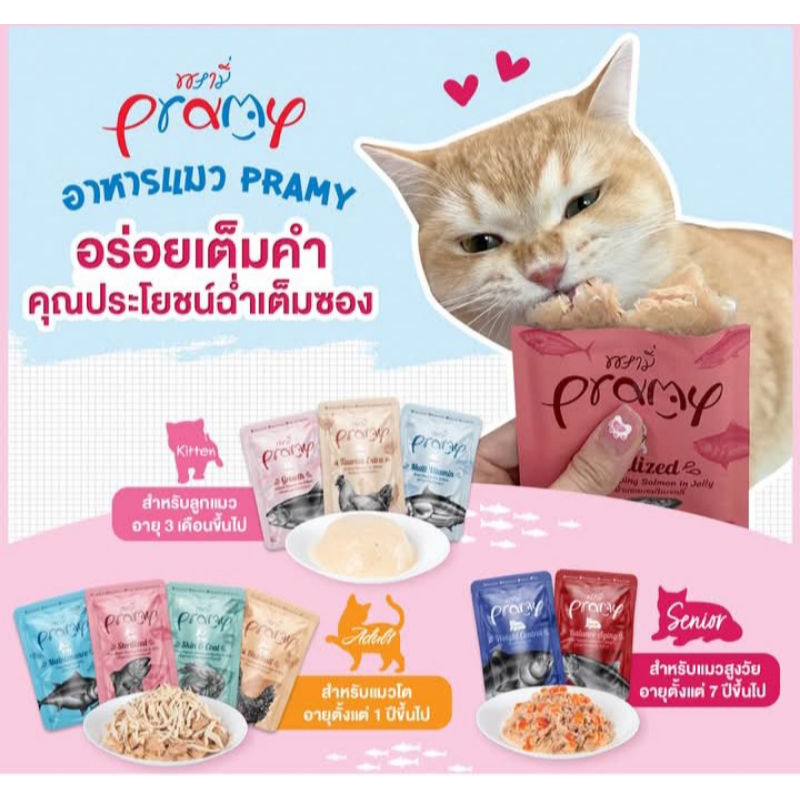 pramy พรามี่ อาหารเปียกแมว