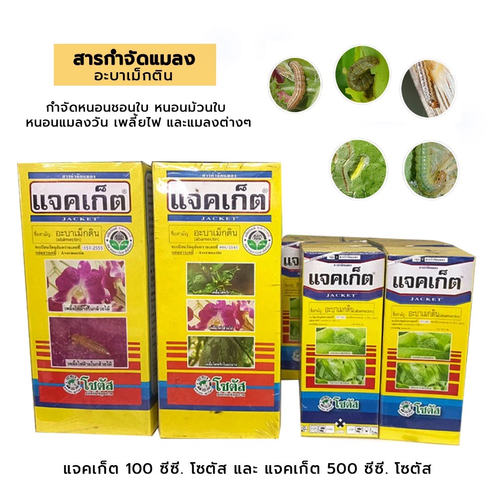 แจคเก็ต 500ml. โซตัส อะบาเมกติน สูตรเย็น ผ่าดอกได้ ปลอดภัย กำจัด เพลี้ยไฟ หนอน ราคา ถูกที่สุด ดีลบีเคเค แกลเลอรีภาพที่ 2