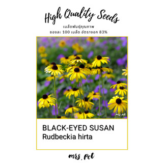 เมล็ดดอก Black eyed Susan นำเข้าจากอเมริกา รหัส124