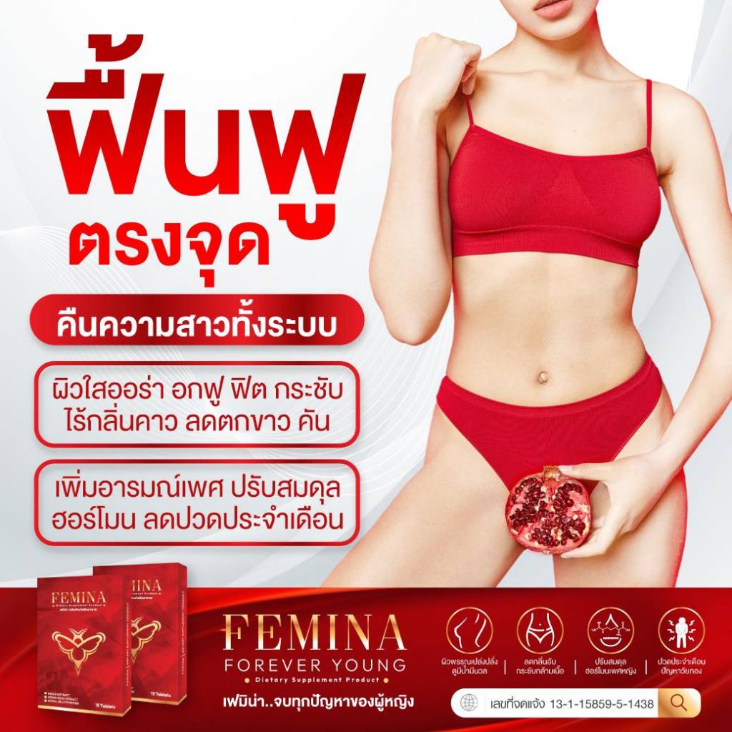 (10 กล่อง) เซ็ตสุดคุ้ม FEMINA • เฟมีน่า บำรุงภายในฟิต รูปที่ 3