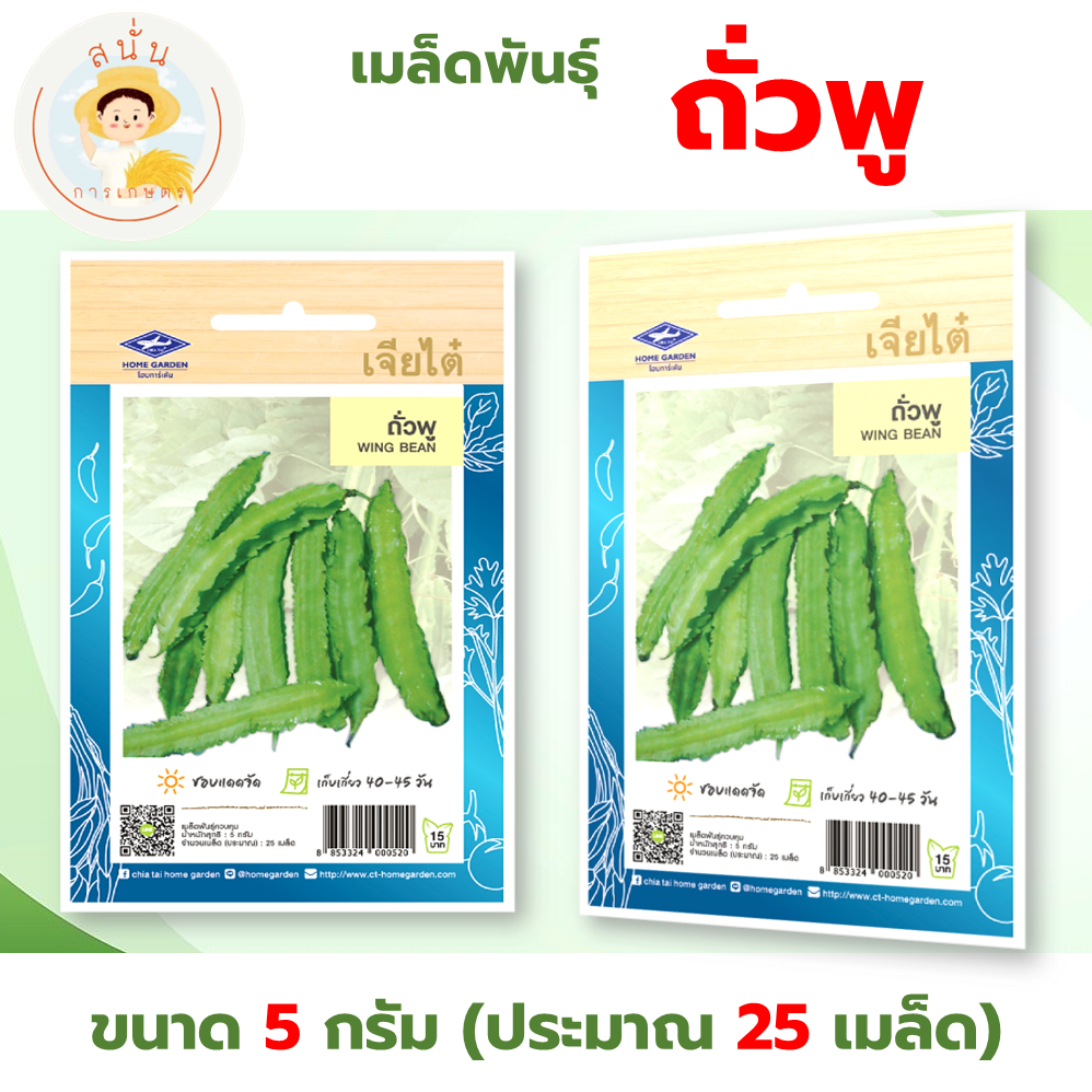 เจียไต๋ (ซื้อ10แถม2) เมล็ดพันธุ์ ถั่วพู ขนาด5กรัม ประมาณ25เมล็ด Wing Bean ถั่วพลู เมล็ดพันธุ์พืช เมล็ดผัก ปลูกผักสวนครัว