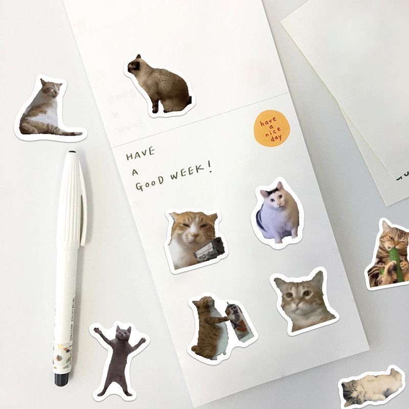 พร้อมส่ง สติกเกอร์มีมแมว มีมแมวตลก Funny cat meme sticker ไว้แปะเคส สมุด กระเป่า สติกเกอร์ตลก 52018 ราคา ถูกที่สุด ดีลบีเคเค แกลเลอรีภาพที่ 4