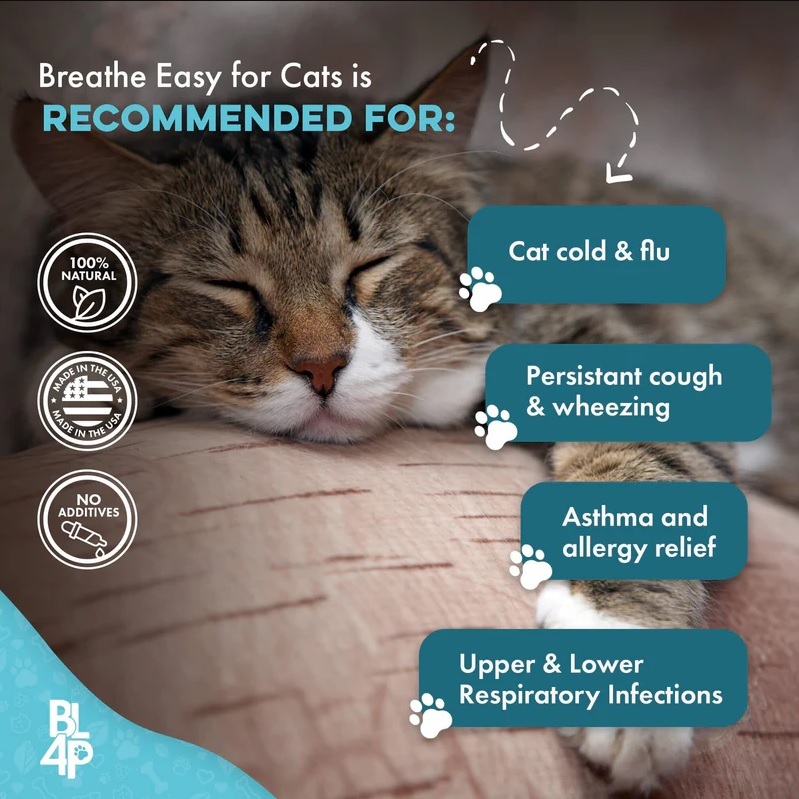 รูปภาพ 4