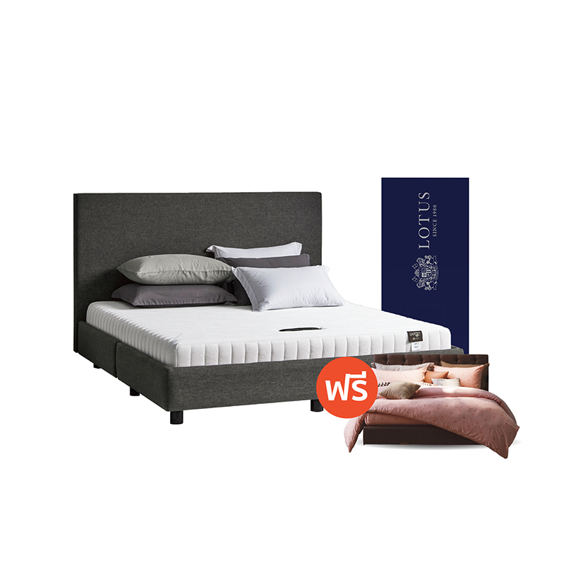 [ฟรี!ชุดผ้าปู] LOTUS