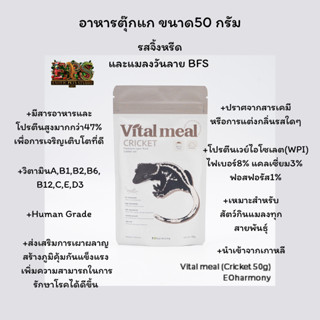 อาหารตุ๊กแก อาหารชงสำหรับตุ๊กแก และสัตว์เลื้อยคลาน สูตรใหม่ …