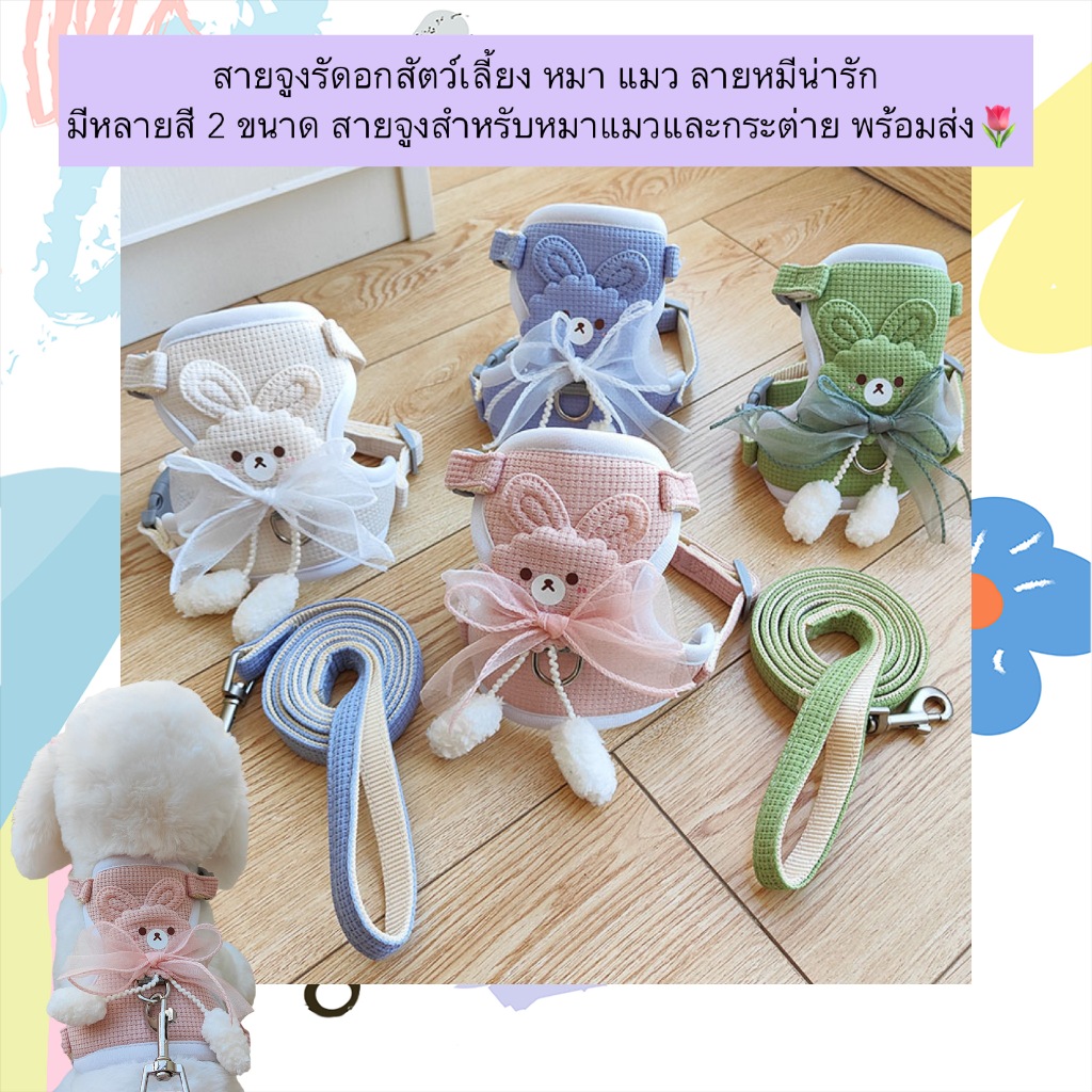 BN-500 สายจูงรัดอกสัตว์เลี้ยง ลายหมีน่ารัก 🐻 สำหรับน้องหมา แมว และกระต่าย ใส่สบาย พร้อมสายจูงในเซต ราคาน่ารัก พร้อมส