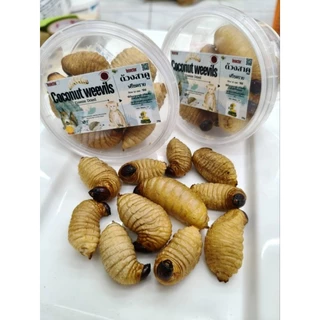 Coconut Weevils Freeze Dried 25g. ด้วงสาคูฟรีสดราย อาหารเสริมสำหรับสัตว์เลี้ยง สัตว์ฟันเเทะ