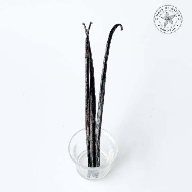 Madagascar Bourbon Vanilla Bean   ฝักวานิลลา สายพันธุ์มาดากัสการ์ นำเข้าจากประเทศฝรั่งเศส   Grade A 18-21 cm.