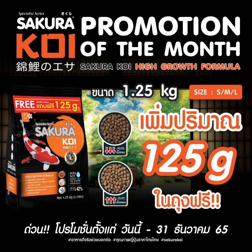 🆓 ฟรี 125g.❗ อาหารปลาคาร์ฟ Sakura Koi (ซากุระ โค่ย) สูตร🌾วีทเจิร์ม🟢สมดุล / 🔴เร่งสี / ⚪เร่งขาว ขนาด 1.25 กก. ฟรี 125g