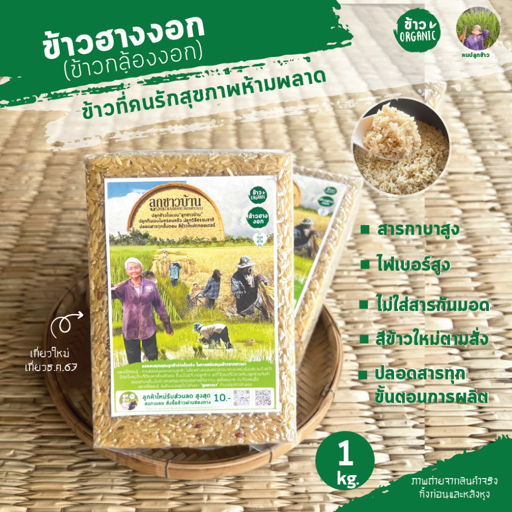 ข้าวฮางงอกหอมมะลิ ข้าวออร์แกนิค GABA RICE จำนวน 1 กิโลกรัม (แพคสุญญากาศ)