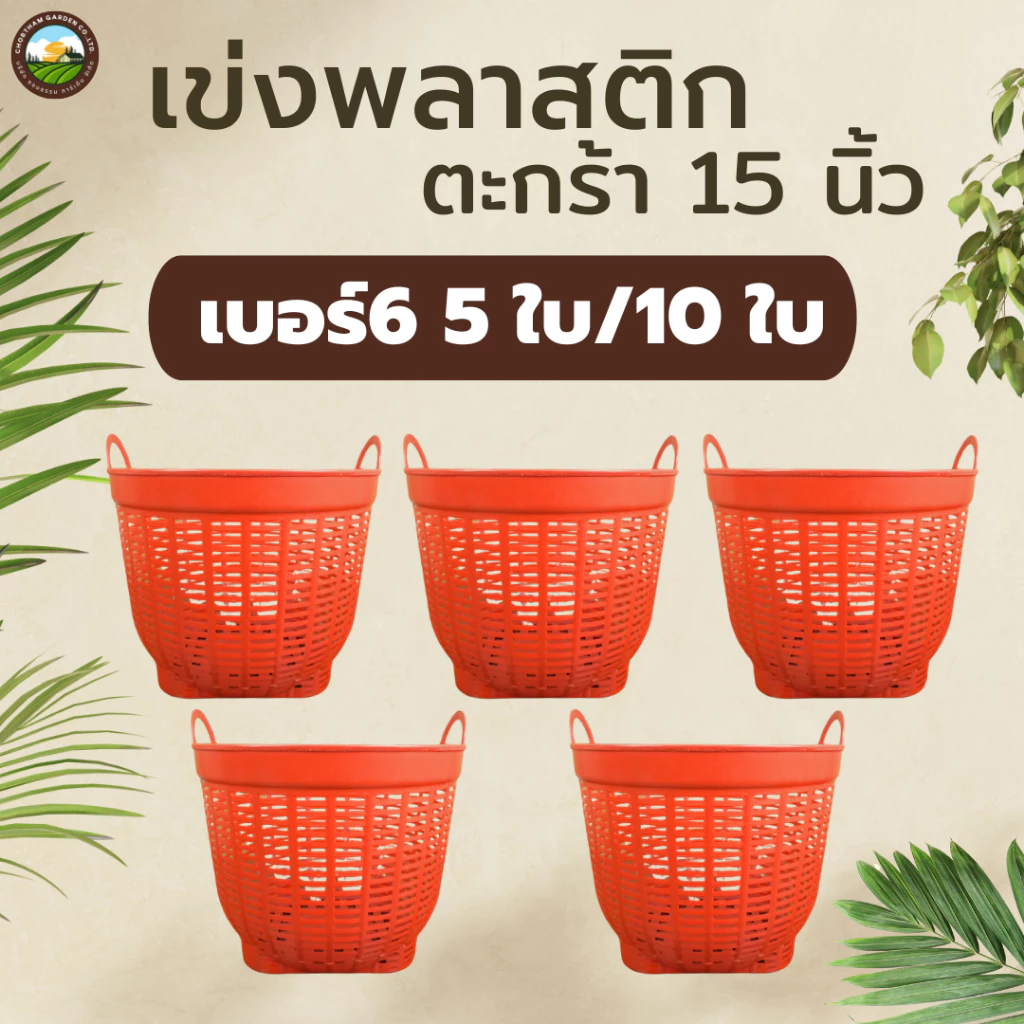 เข่งพลาสติก 5 ใบ /10ใบ มินิมอล ตะกร้าพลาสติก เข่งปลูกต้นไม้ (เบอร์6) 15 นิ้ว หนา แข็งแรง