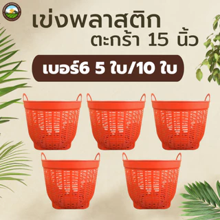 เข่งพลาสติก 5 ใบ /10ใบ มินิมอล ตะกร้าพลาสติก เข่งปลูกต้นไม้ (เบอร์6) 15 นิ้ว หนา แข็งแรง