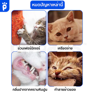 My Paws ตุ๊กตาน้องแมว สอดไส้แคทนิป รุ่นของว่าง สไตล์เกาหลี เพิ่มความฟิน ของเล่นแมว catnip