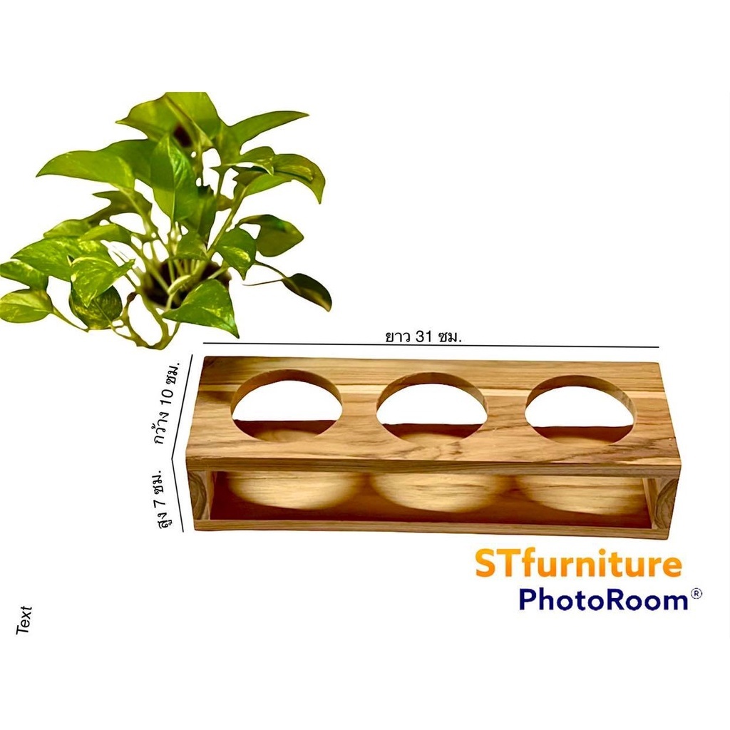 บล็อกใส่แก้วน้ำหวาน/กาแฟกันล้ม วางแคคตัส - รูปที่ 4