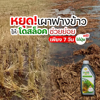 [ร้านค้าบริษัท] กำตัดดีดย่อยข้าววัชพืช ย่อยฟางข้าว โดสล็อค ชุดเซ็ต 2 ขวด ย่อยฟางไม่ต้องเผา ฟื้นฟูดิน